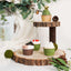 2-Tier Wooden Cheese Board Stand Elm Wood Slice Design Natural - Rustic Cupcake Centerpiece 8"