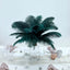 12 Pack 13"-15" Peacock Teal Natural Plume Real Ostrich Feathers, DIY Centerpiece Fillers