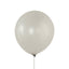 50 Pack Silver Biodegradable Balloons, 12" Thickened Extra Strong Eco-friendly Latex Helium Party Balloons