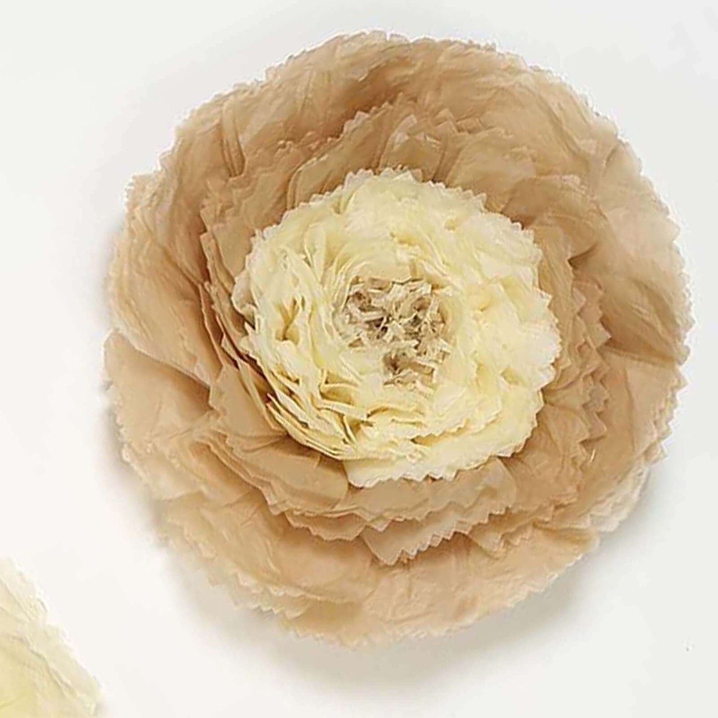 Set of 6 Taupe Natural Giant Carnation 3D Paper Flowers Wall Decor - 12",16",20"
