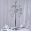 Metal Crystal Beaded Candelabra Silver 13 Arm Design - Table Centerpiece for Events 40"
