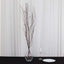 6-Pack Natural Birch Tree Branches 46" Natural - Versatile Extra Long Decorative Dried Willow Twigs Sticks for Vase Centerpiece Wedding Decor