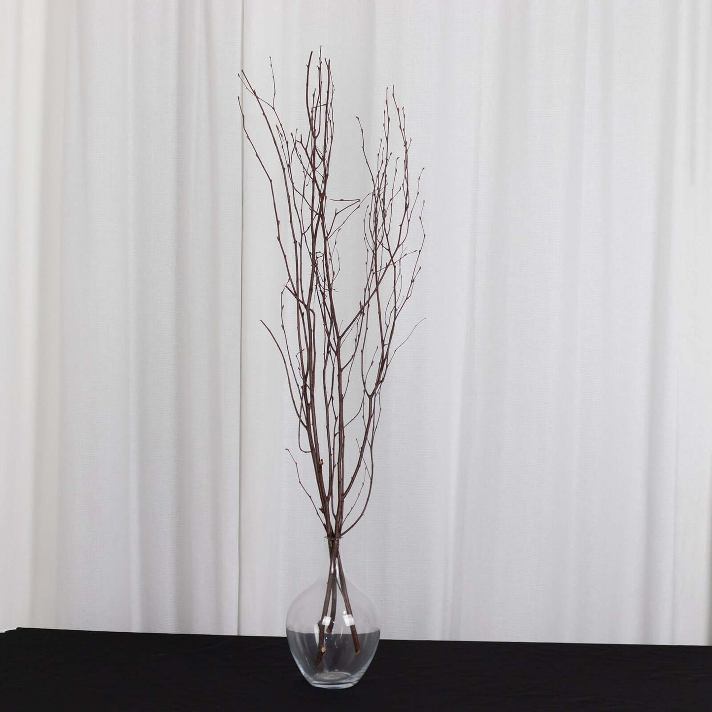 6-Pack Natural Birch Tree Branches 46" Natural - Versatile Extra Long Decorative Dried Willow Twigs Sticks for Vase Centerpiece Wedding Decor