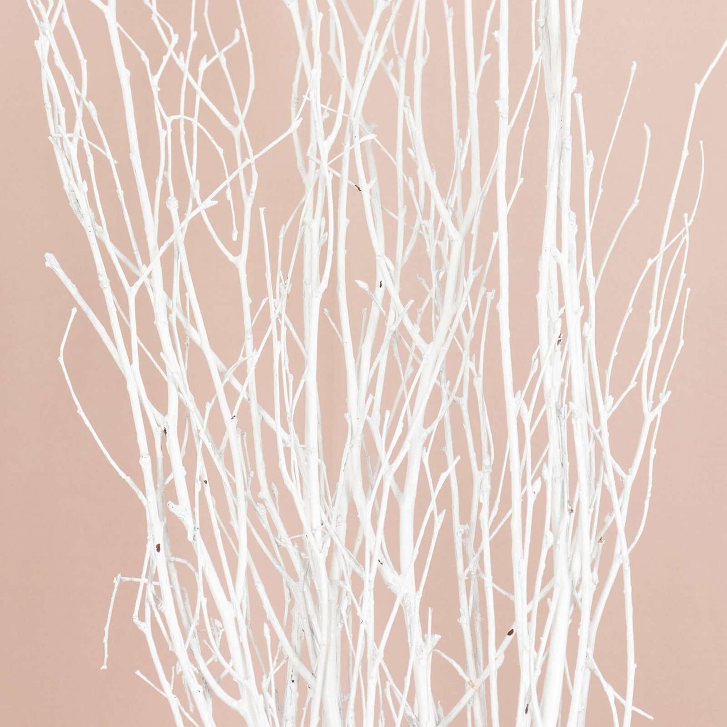 6-Pack Natural Birch Tree Branches 46" White - Versatile Extra Long Decorative Dried Willow Twigs Sticks for Vase Centerpiece Wedding Decor