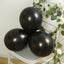 50 Pack Black Biodegradable Balloons, 12" Thickened Extra Strong Eco-friendly Latex Helium Party Balloons