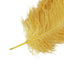 12 Pack Gold Natural Plume Ostrich Feathers Centerpiece Filler - 24"-26"