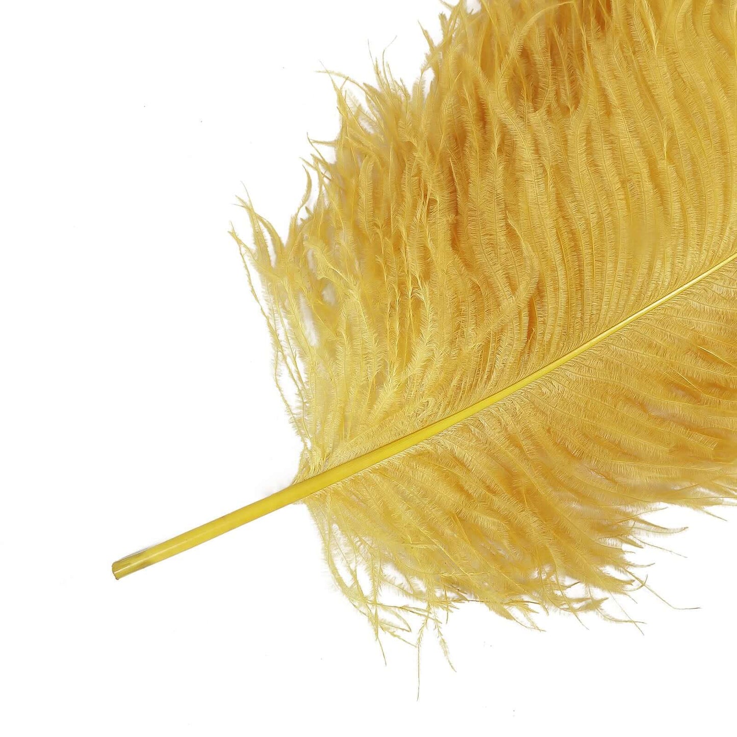12 Pack Gold Natural Plume Ostrich Feathers Centerpiece Filler - 24"-26"