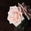 24 Roses 5" Blush Artificial Foam Flowers With Stem Wire and Leaves