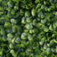 11 Sq ft. Green Boxwood Hedge Garden Wall Backdrop Mat - 4 Artificial Panels