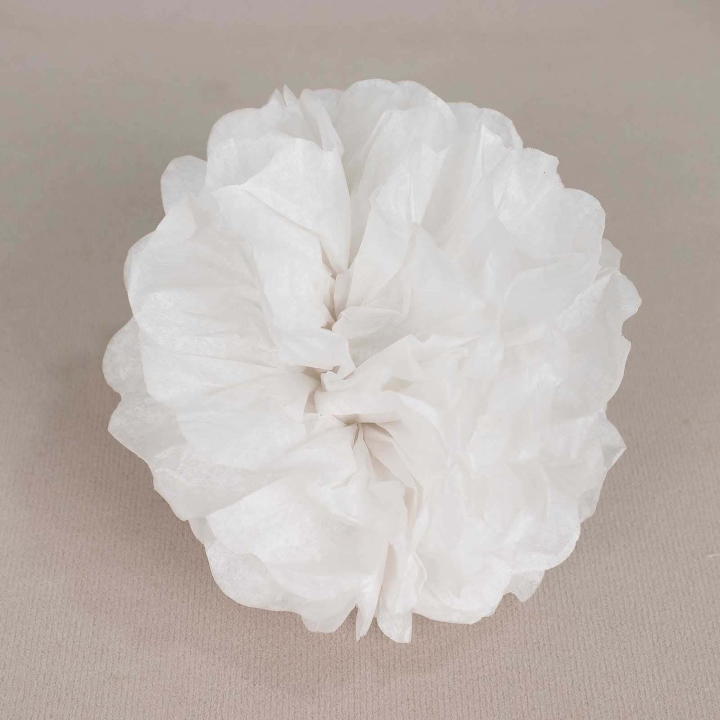 6 Pack 6" White Tissue Paper Pom Poms Flower Balls, Ceiling Wall Hanging Decorations
