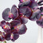 2 Stems 40" Tall Eggplant Artificial Silk Orchid Flower Bouquets