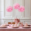 6 Pack 10" Pink Tissue Paper Pom Poms Flower Balls, Ceiling Wall Hanging Decorations