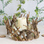 Natural Wooden Candle Holder Centerpiece - Rustic Mini Flower Vase for Events & Tables 6"