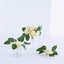 24 Roses 2" Cream Artificial Foam Flowers With Stem Wire and Leaves