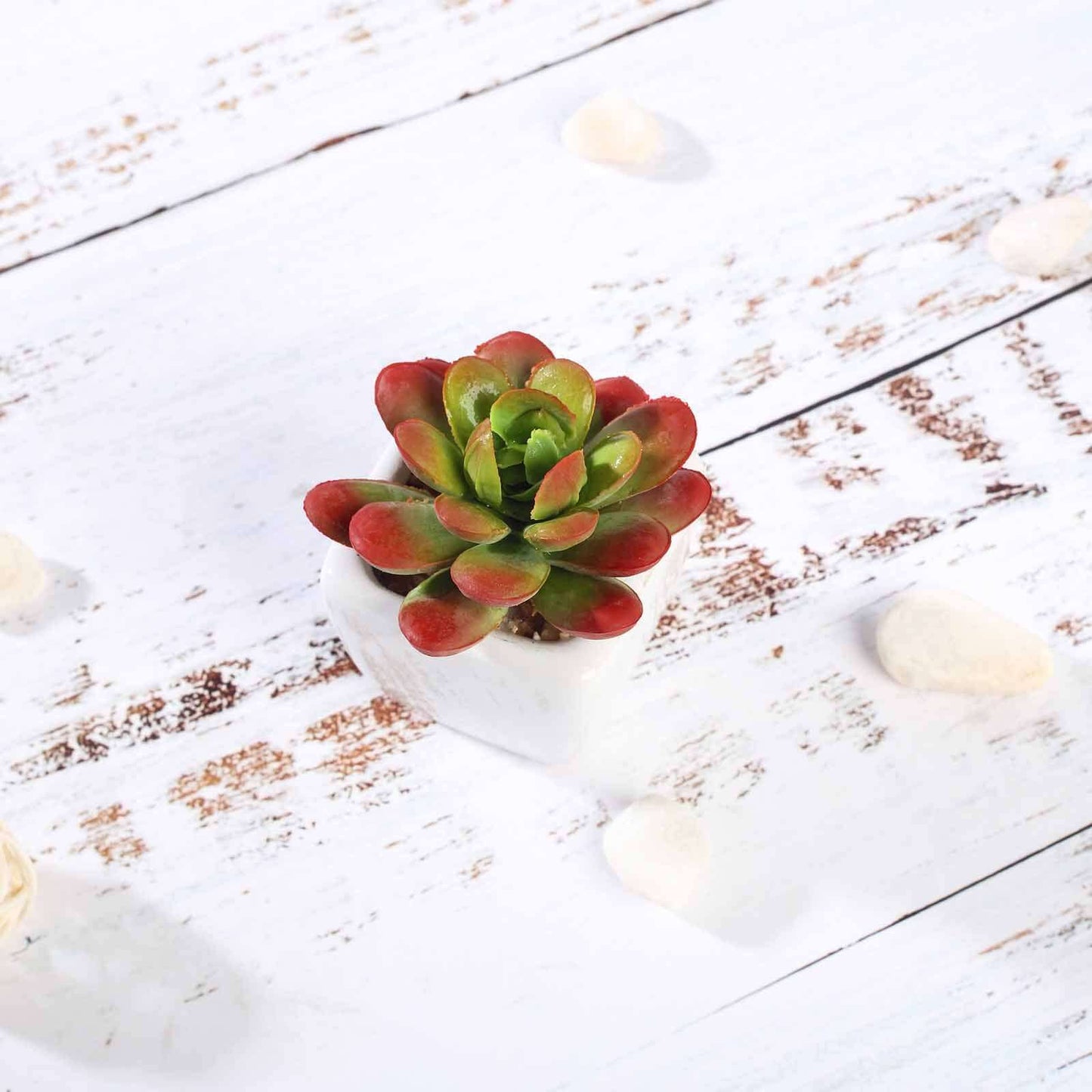 3-Pack Echeveria Elegans Artificial Succulents in Ceramic Pot - Lifelike Decorative Faux Plants for Home Office & Event Design 3"