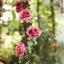6ft Dusty Rose Artificial Silk Rose Hanging Flower Garland Faux Vine