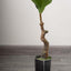 2 Pack 3ft Artificial Fiddle Leaf Fig Tree Potted Indoor Planter