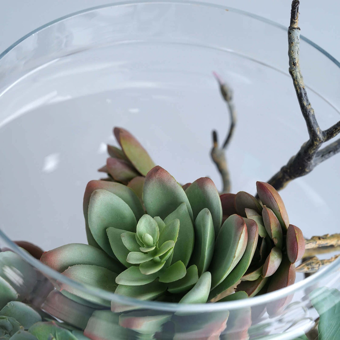 Set of 3 Glass Candy Jars Pedestal Apothecary Design Clear with Snap-On Lids - Stylish Party Favor Containers 10"/12"/14"