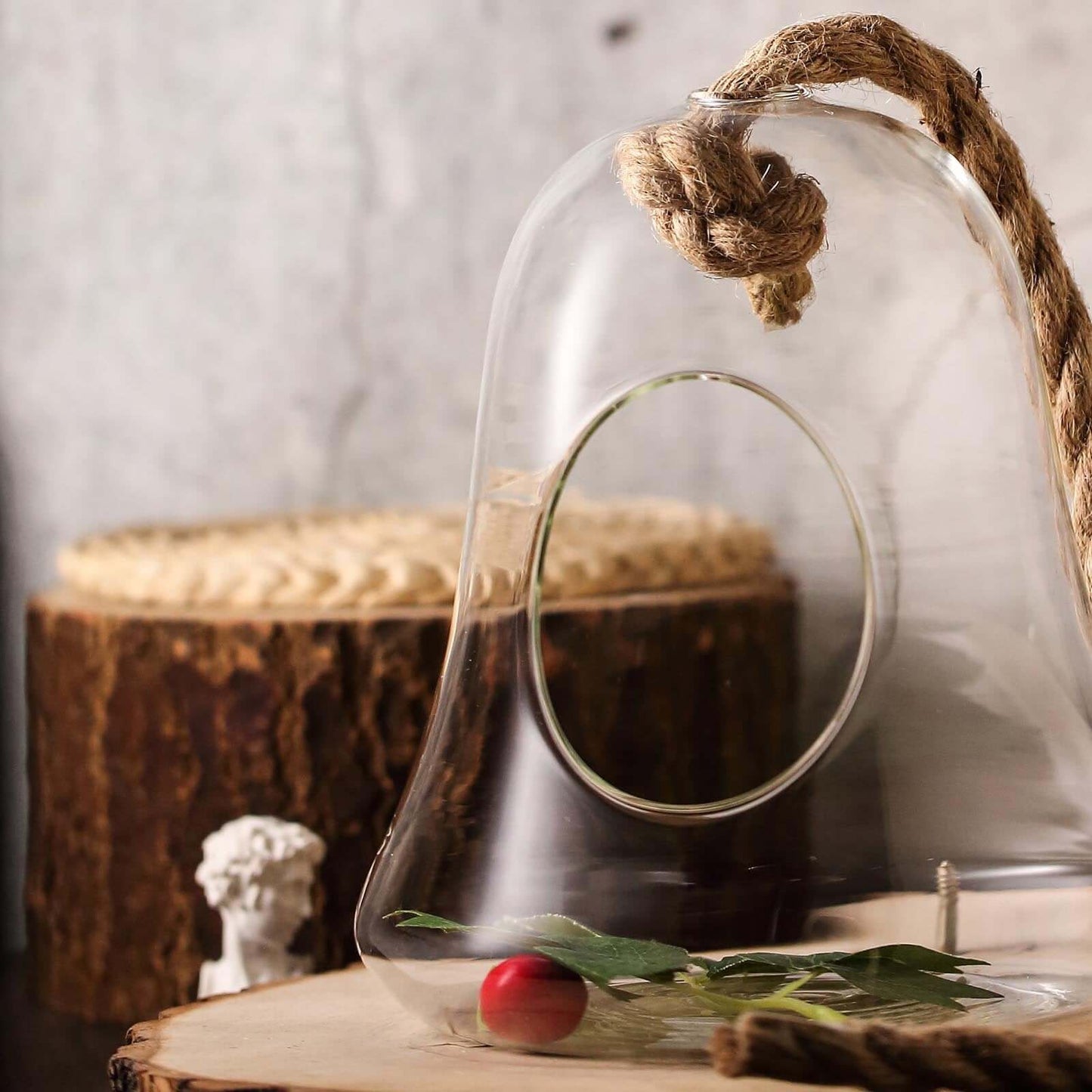 Glass Terrarium Hanging Bell Shaped Design with Twine Rope - Unique Free-Falling Planter for Air Plants & Displays 9"
