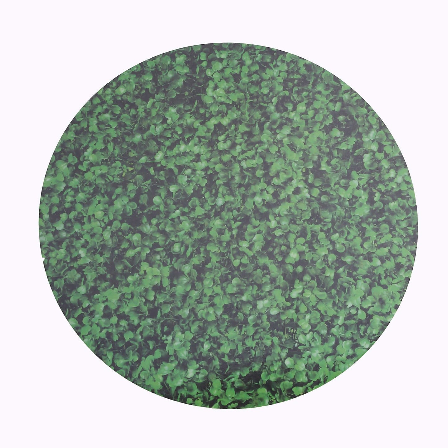 6-Pack Disposable Table Placemats in Green Boxwood Leaf Print - 700GSM Cardboard Placemats for Forest & Garden Theme Party Decor 13"