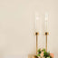 2-Pack Gold Metal Taper Candlestick Holders, Clear Glass Hurricane Candle Stands With Chimney Candle Shades 20"