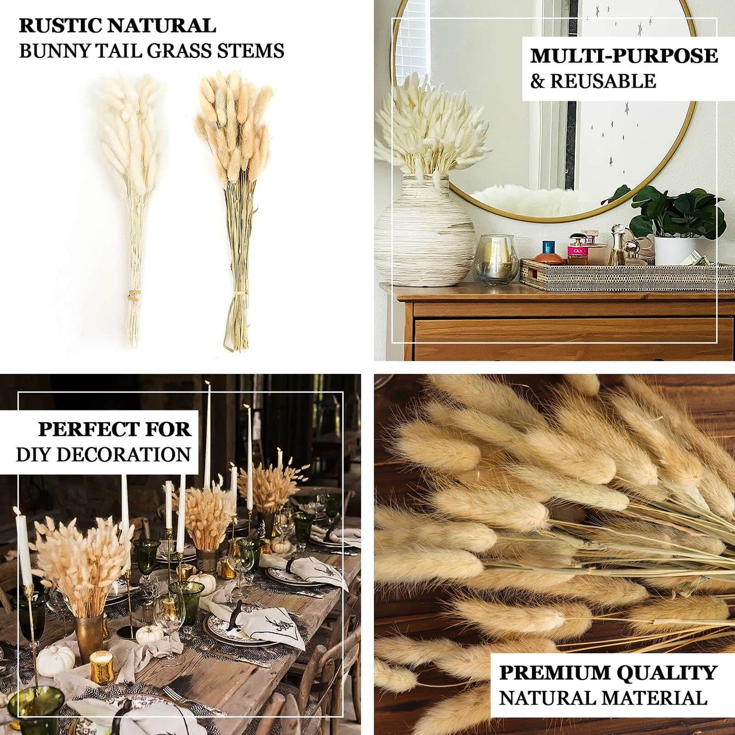 50-Pack Dried Bunny Tail Grass Natural - Rustic Chic Lagurus Ovatus Rabbit Tail Ornamental Grass for Modern Farmhouse Decor Event Styling & Floral Displays 15"