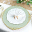 6-Pack Acrylic Round Charger Plates 13" in Sage Green with Gold Embossed Baroque Rim, Antique Decorative Dinner Party Charger Tableware