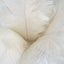 12 Pack 13"-15" Ivory Natural Plume Real Ostrich Feathers, DIY Centerpiece Fillers