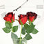 31" 24Pcs Red, Black Tip Long Stem Artificial Silk Roses Flowers