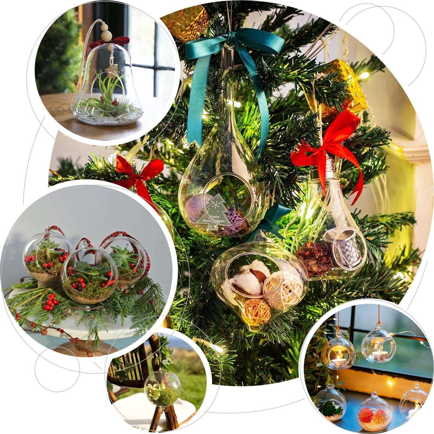 Glass Terrarium Hanging Bell Shaped Design with Twine Rope - Unique Free-Falling Planter for Air Plants & Displays 9"