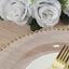10-Pack Economy Round Plastic Charger Plates 13" in Clear with Gold Beaded Rim, Stylish Dinner Party Serving Plates