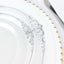 10-Pack Plastic 10" Round Dinner Plates in Clear with Silver Leaf Embossed Rim - Disposable Vintage Baroque Style Plates