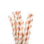 25-Pack Paper Straws White/Rose Gold Striped - Stylish Disposable Straws for Drinks 8"
