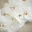 2 Stems 40" Tall White Artificial Silk Orchid Flower Bouquets