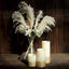 6 Stems Natural Dried Pampas Grass Decor Off White Tint - Versatile Plant Sprays for Boho Chic Vase Displays Backdrops & Event Styling 32"