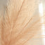 3 Stems Artificial Pampas Grass Decor Taupe - Soft Realistic Faux Ornamental Grass Branches for Rustic Boho Chic Backdrops Floral Styling & Vase Displays 44"