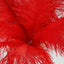 12 Pack 13"-15" Red Natural Plume Real Ostrich Feathers, DIY Centerpiece Fillers
