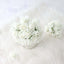 48 Roses 1" Ivory Real Touch Artificial DIY Foam Rose Flowers With Stem, Craft Rose Buds