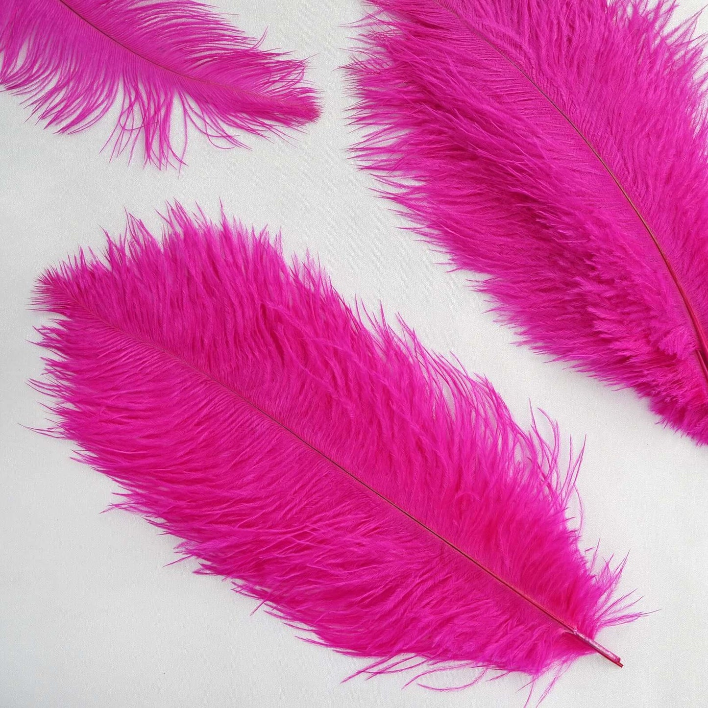 12 Pack 13"-15" Fuchsia Natural Plume Real Ostrich Feathers, DIY Centerpiece Fillers