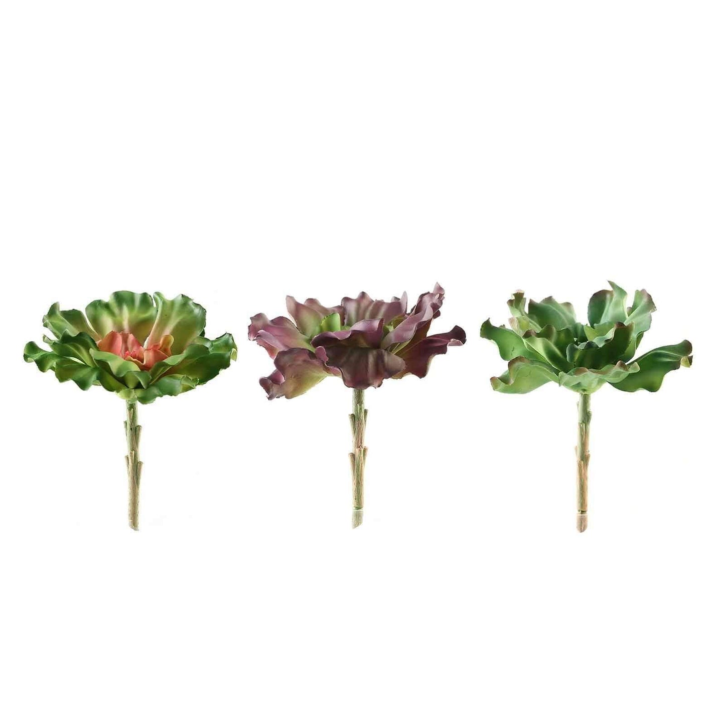 3 Pack 6" Artificial PVC Wavy Kalanchoe Decorative Succulent Plants