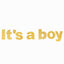 3ft Gold Glittered It's a Boy Paper Hanging Gender Reveal Garland Banner, Baby Shower Banner
