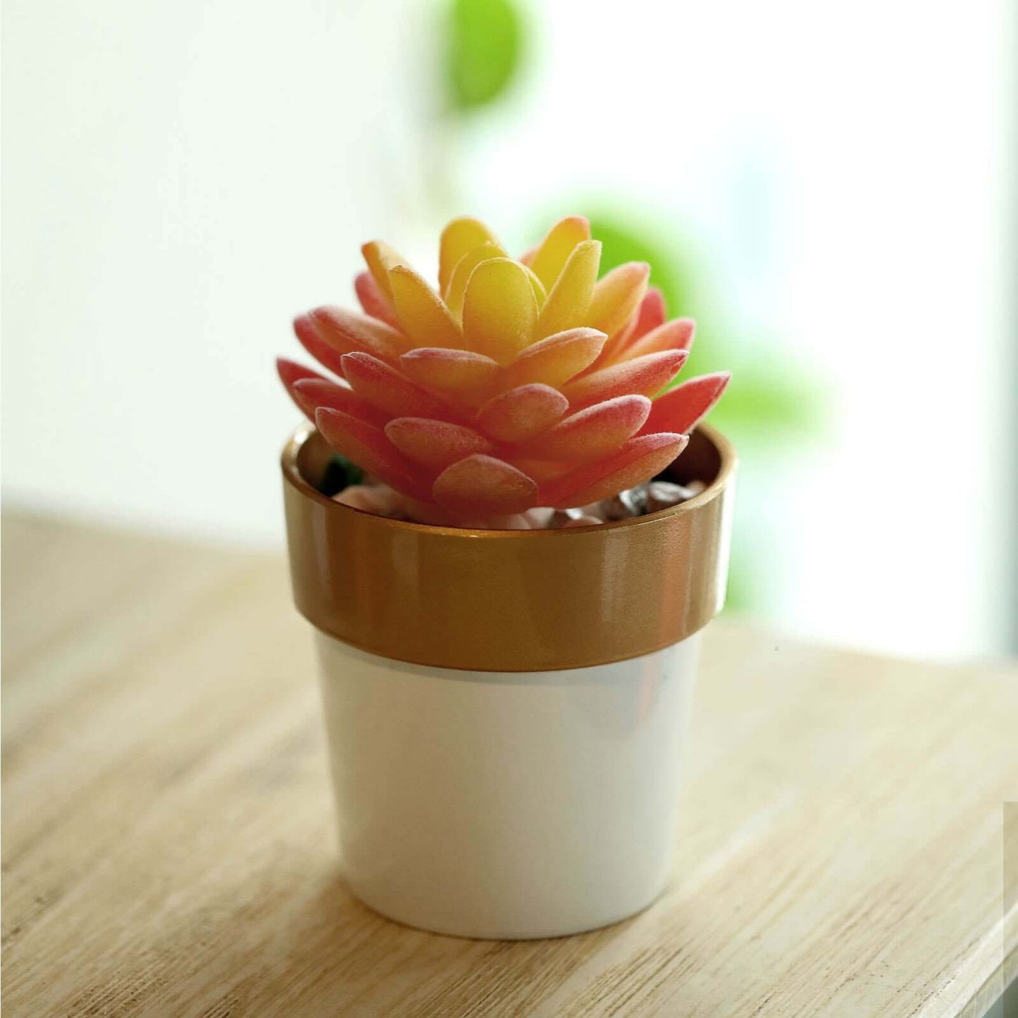 3-Pack Flower Plant Pots Small Design White with Gold Rim - Plastic Indoor Decorative Planters 3"