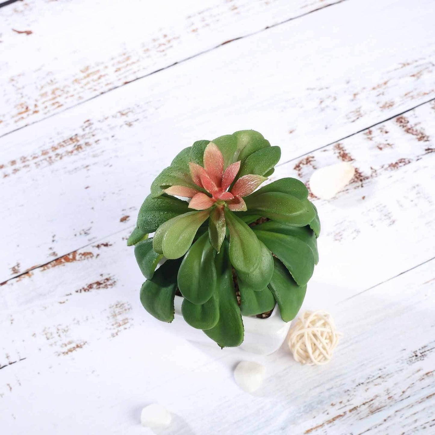 3-Pack Minibelle, Elegans & Grassneri Artificial Succulents in Ceramic Pot - Lifelike Decorative Faux Plants for Home Office & Event Design 5"