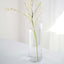 6-Pack Glass Flower Vases Cylinder Design Heavy Duty Clear - Stylish Centerpieces for Weddings 14"