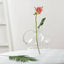 Glass Candle Holder Cloche Jar Dome Clear with Wooden Base - Stylish Centerpiece for Floral Displays 10"