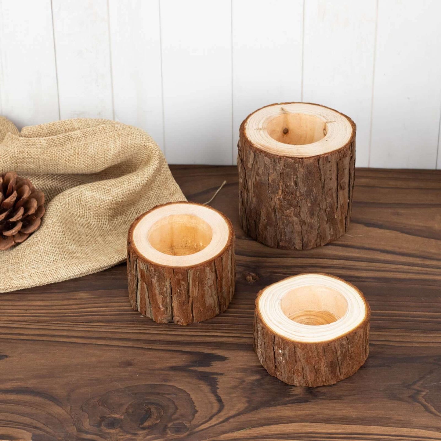 Set of 3 Rustic Wood Slice Votive Candle Holders - Tree Branch Wedding Table DÃ©cor 2.75", 1.5", 1.25"