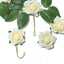24 Roses 2" Cream Artificial Foam Flowers With Stem Wire and Leaves