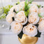 2 Pack Cream Silk 15-Head Rose Flower Balls For Centerpieces - 10", Artificial Kissing Ball Floral Arrangements