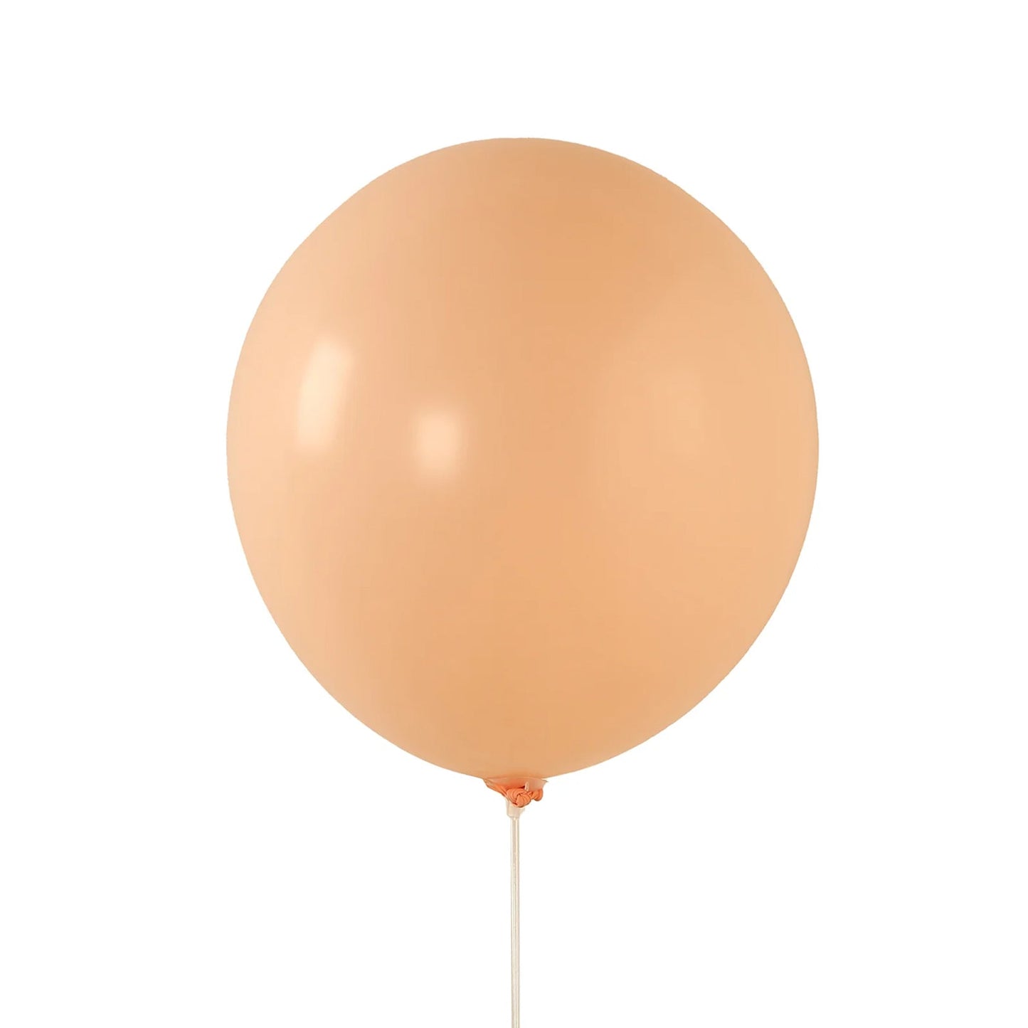 10 Pack Matte Pastel Blush Biodegradable Balloons 18", Round Eco-friendly Thick Latex Party Balloons