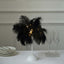 Table Lamp Ostrich Feather Design Black LED Battery Operated - Cordless Wedding Centerpiece 15"